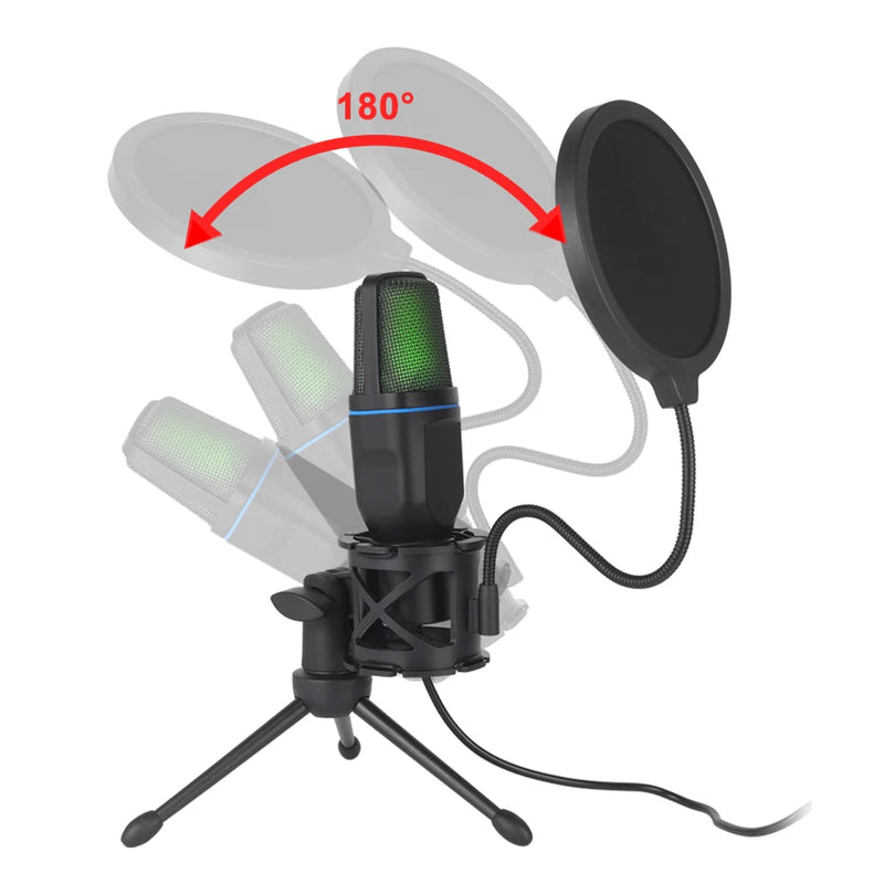 Professional Condenser Microphone for Computer