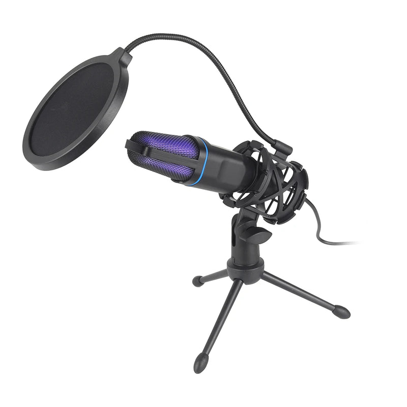 Professional Condenser Microphone for Computer